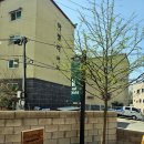 [산강카페]서울 근교, 일산 하울픽스