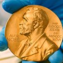 (HL-예술/취미/종교) Nobel Prize in Literature Will Not Be Awarded This Year 이미지