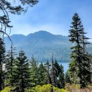 거창한 하루 이미지