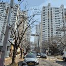 부산진구-20 이미지