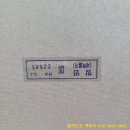 대전실사 이미지