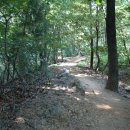 우면산 (남태령 정각사) 이미지