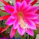 25시노래방 이미지