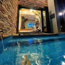 세나쿠룸 제주 네이버블로그