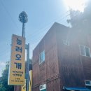 놀러오개 애견유치원 호텔 고기점 이미지