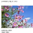 기성태양광발전소 이미지