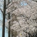 창원대로-2 이미지