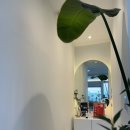 리메디온 이미지