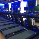 노블휘트니스 이미지