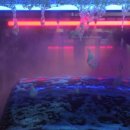 자유로세차장 이미지