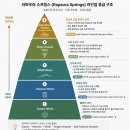 소비뇽블랑추천 l 라파우라 스프링스 불 파독 빈야드