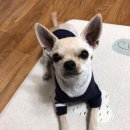 금오셀프세차장 이미지