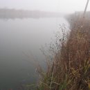 교동멧돼지 이미지