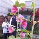 행운동주민센터 이미지