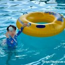 샤르망 나동 네이버블로그