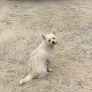땅재농원