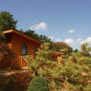 구덕공원 이미지