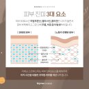 미성형외과