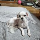 계룡대교 - 계룡시 | 강원도 양양 낙산해수욕장 바다수영 / 샤워시설 정보 & 해파리 없음
