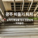 【 광주 비둘기 퇴치 | 실외기 배설물 청소 전문업체 – 미래클린 】
