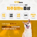 철원동물병원