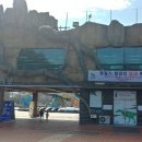 엑스포로터리 이미지