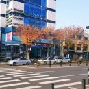 대우사랑1공인중개사사무소 이미지