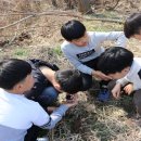 관호초교 이미지