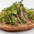 꽃이미지-Ⅰ 이미지