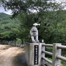수곡1구마을진입로 | 곡성 섬진강 계곡펜션, 블루그린 펜션 상세한 후기, 아이들과 오기 딱 좋은 펜션