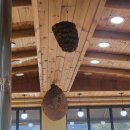 황제민물추어탕 이미지