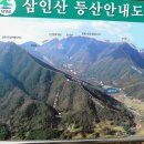 삼 인 이미지