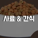 댕이요 펫택시 네이버블로그