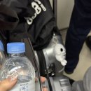 장난감파는바비 | 홍콩 1일차 | 상기콘지 | 베이크하우스 | 훙힝토이 | 스투시 | 에이프 | 미니소 | 레이디스 마켓