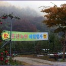 영진상사 이미지