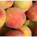 승래농장 이미지