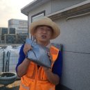 운모농장 이미지