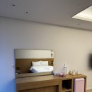 닻밭 | [제주/애월] 제주 고내포구 감성숙소 🌊 닻밭 일반실 숙박 후기