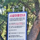 송정작은도서관 | 경남 산청 계곡 후기 송정숲 취사가능 강아지 동반 여행 되요
