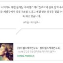 디니힐링