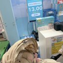 (주)앱크로스 | [경기/고양] 2026 메가주 일산 애견동반 방문기_현장가&amp;이벤트 정보 및 주차 꿀팁