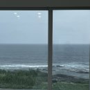 미아니아 | 포항 오션뷰 풀빌라 미아니아 _ 실내 수영장 있는 포항 독채 풀빌라 내돈내산 솔직후기