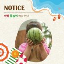 토토김밥 | 고마워토토 광교점 후기_7월 감자&amp;옥수수, 수박 / 8월 코코넛 / 9월 콩