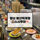 스시투어 | 양산 덕계,평산 맛집 - 회전초밥 스시투어 후기