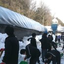 삼척양계장 이미지