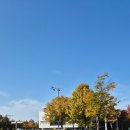 훼미리마트한밭운동장점 | 대전 한밭수목원 방문기