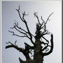 안성면011 이미지