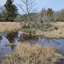 삼거리농장 이미지