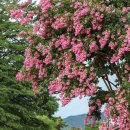 온양박물관 이미지