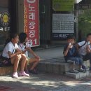 정흥모 Daum카페